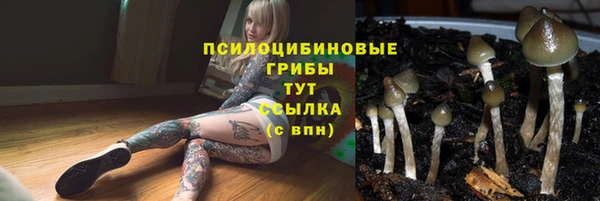 каннабис Алексеевка