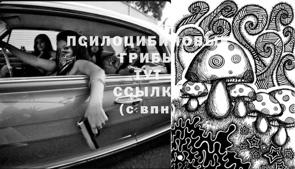 МДПВ Алексин