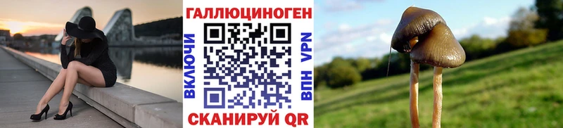 купить  цена  Приволжский  Псилоцибиновые грибы мицелий 